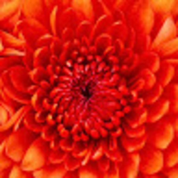 Meet your Posher, Hb79 - Picture 1 of 1